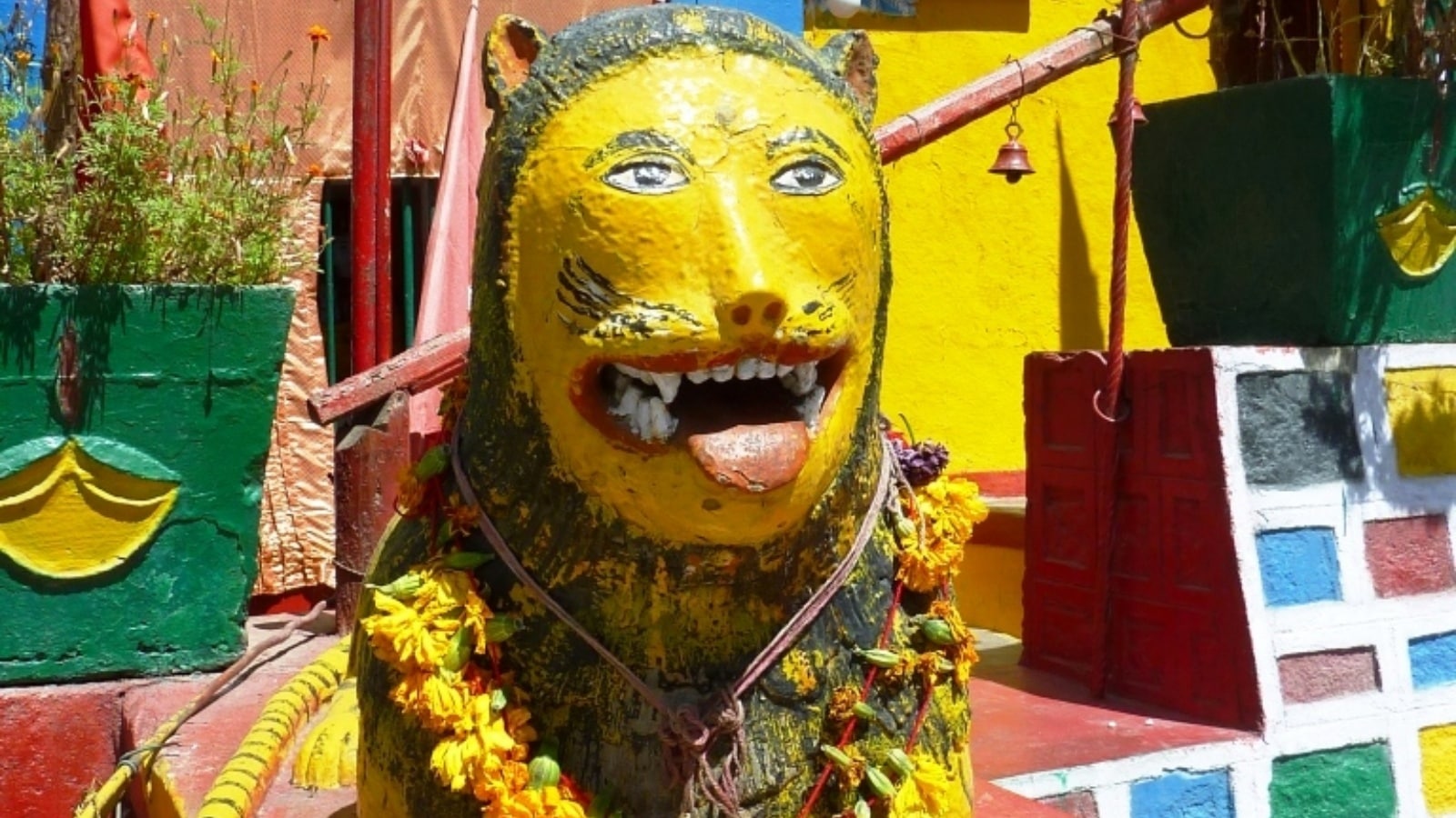 Tiger