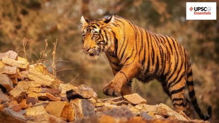 UPSC Essentials | Daily subject-wise quiz : Environment and Geography