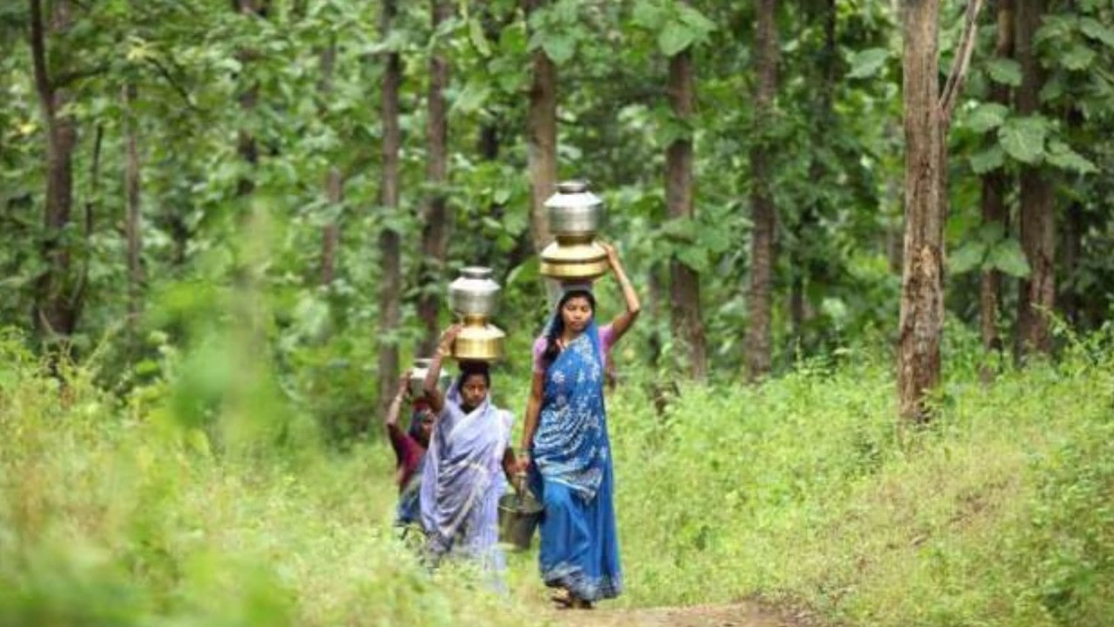 Forest Governance Crisis: Why India Needs Structural Overhaul, Not Just Tech Fixes