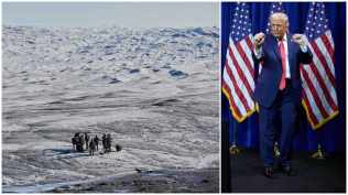 donald trump, greenland