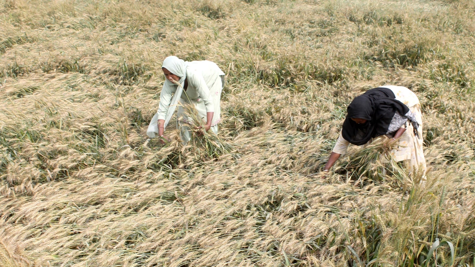 Women farmers take centre stage at the Maharashtra-MSSRF stakeholder consultation