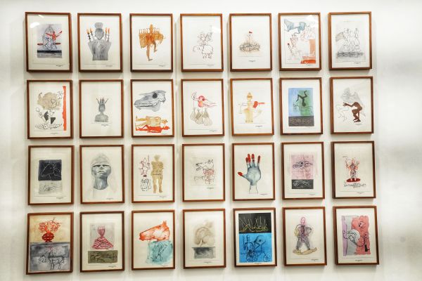 Exhibition by various artists at India Art Fair, Okhla NSIC ground, in New Delhi on Thursday, February 06, 2025. (Express photo by Abhinav Saha)