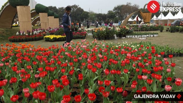 Preparations were underway for the Noida Flower Festival 2026