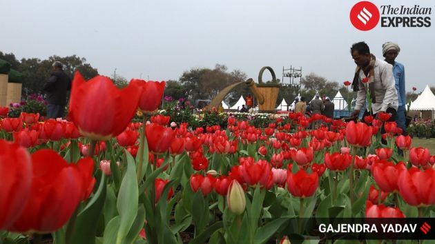The Noida Flower Festival 2026 is set to conclude on February 22,