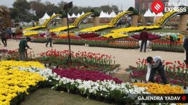 Visitors can also explore workshops and engaging activities aimed at promoting plant care, gardening skills and sustainable living practices