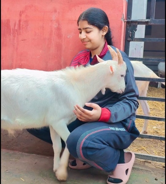 Through scientific breeding and strict bloodline management, the sisters have developed superior in-house stock.