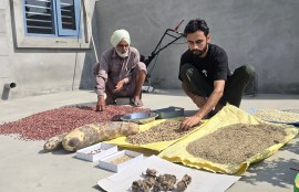 Amarjit Sharma and his grandson, Ravi Sharma drying the seeds, various rare crops and at their fields as well as at the seed store and showing the app