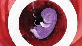 SC on medical termination of pregnancy