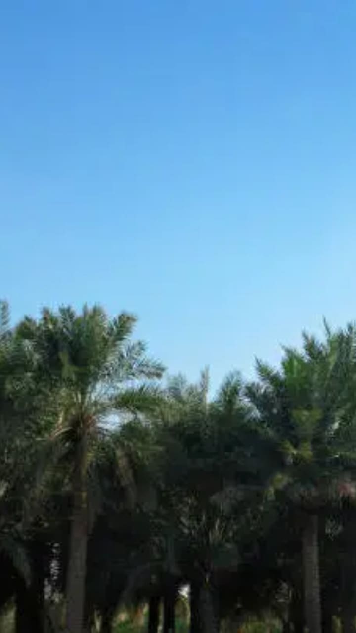 travel