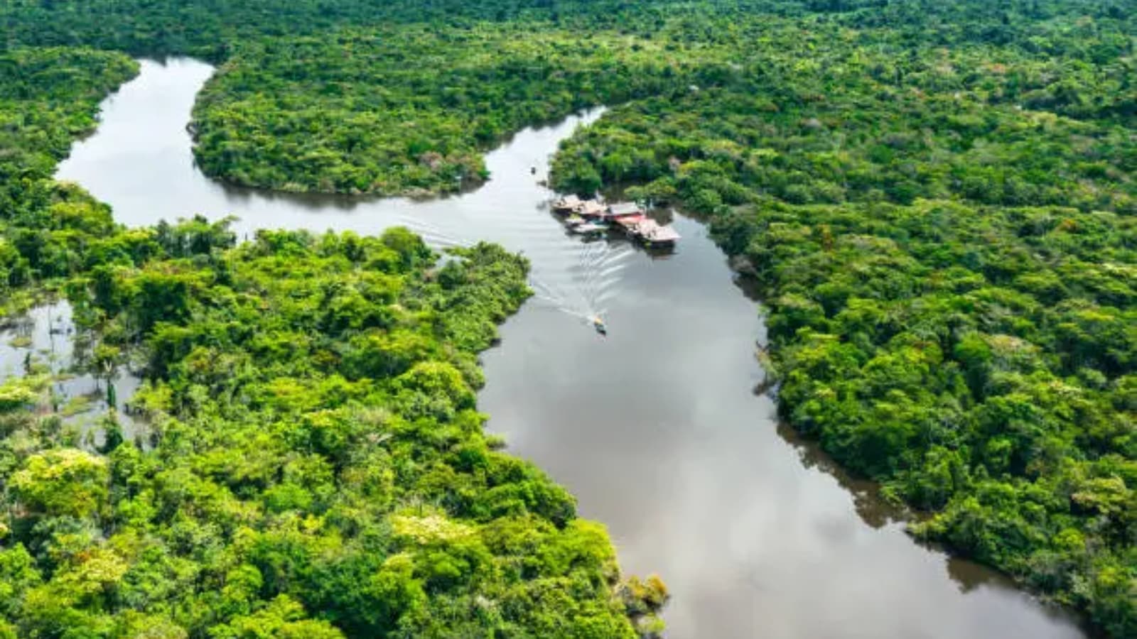The Illicit Gold Arbitrage: How Document Forgery Defeats Environmental Law Enforcement in the Amazon