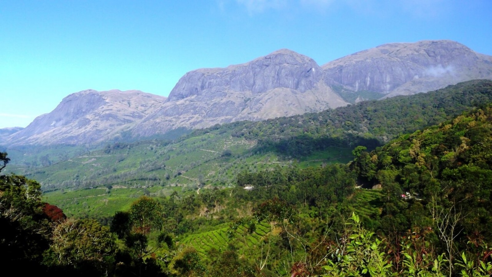 Anaimudi peak 