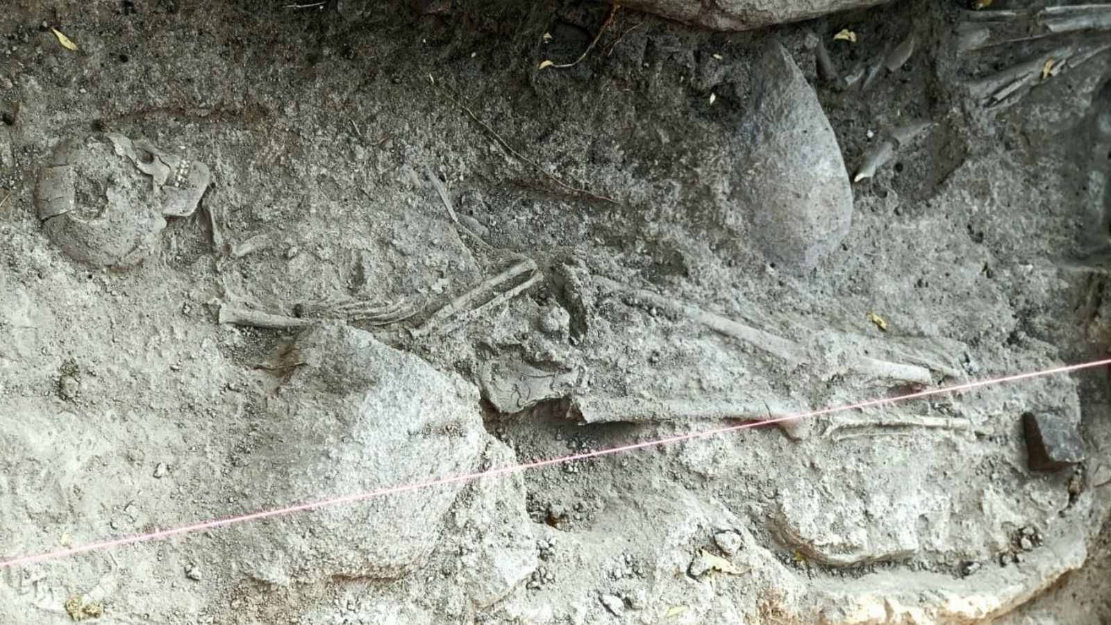 Ancient Skeletons Unearthed in Karnataka After 60-Year Gap