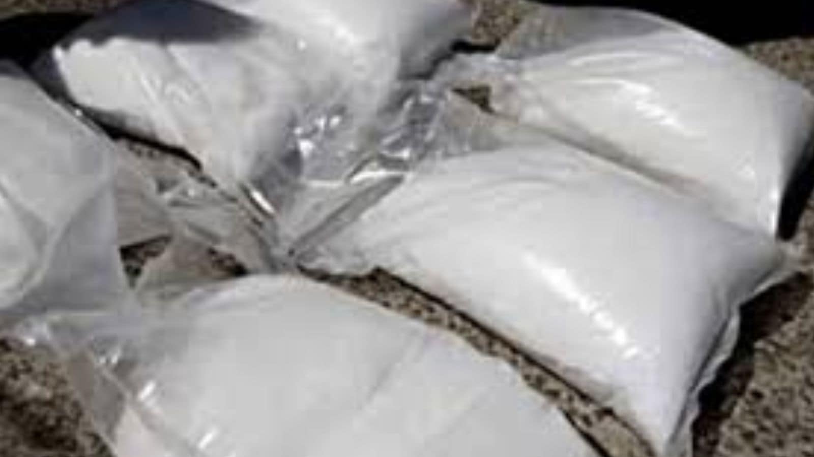 Witnesses untraced, NCB officer forgot names of raiding team members: Why court acquits Brazilian accused of carrying 4-kg cocaine 