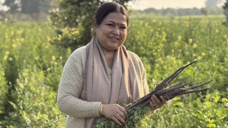 Reaping gold from ‘black carrots’: Abohar woman takes Punjab’s ‘kaali gaajar kaanji’ to US, Canada, Ireland