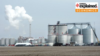 US farm exports to India have been surging even with no trade deal