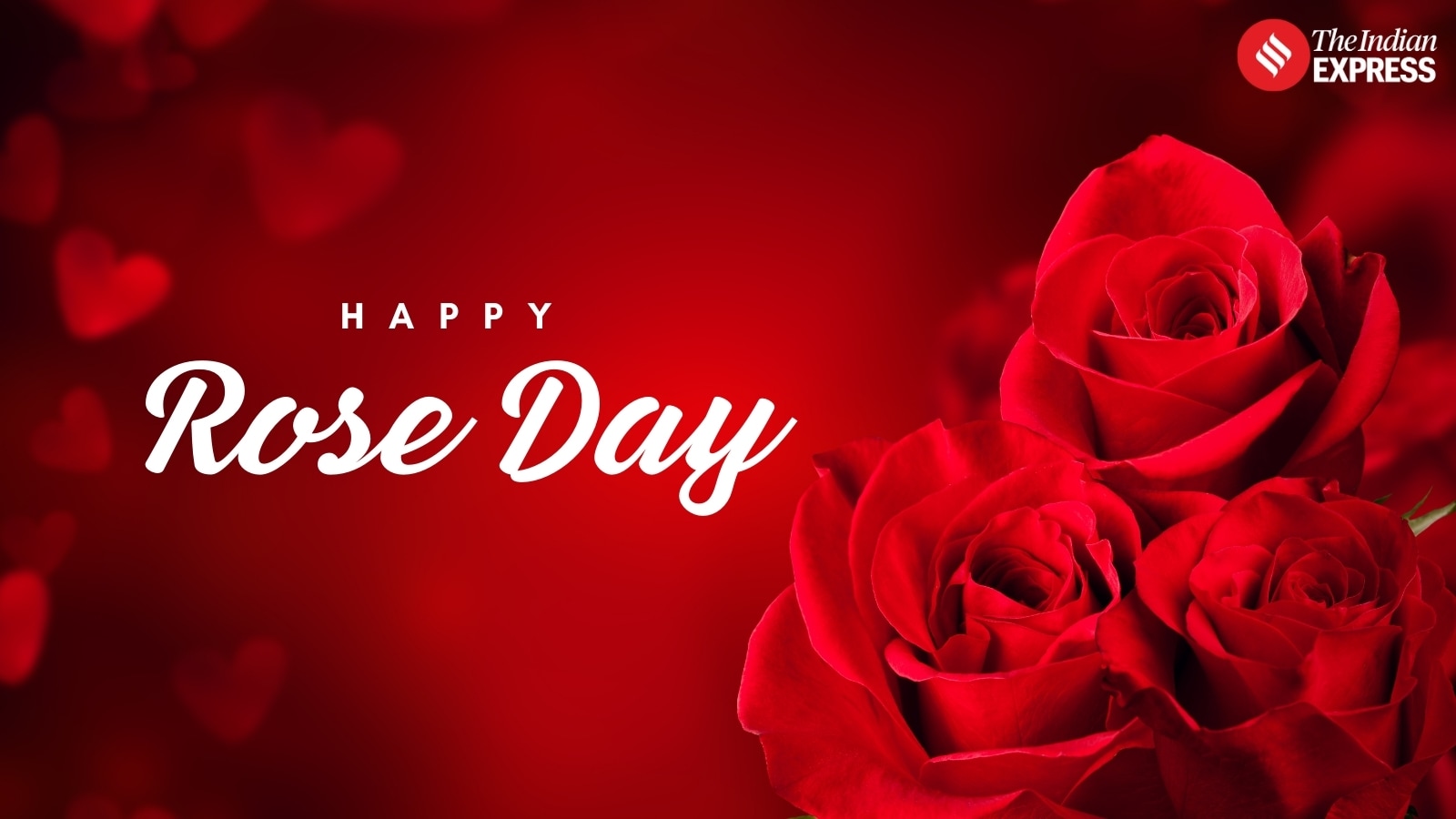 One rose, a thousand feelings.