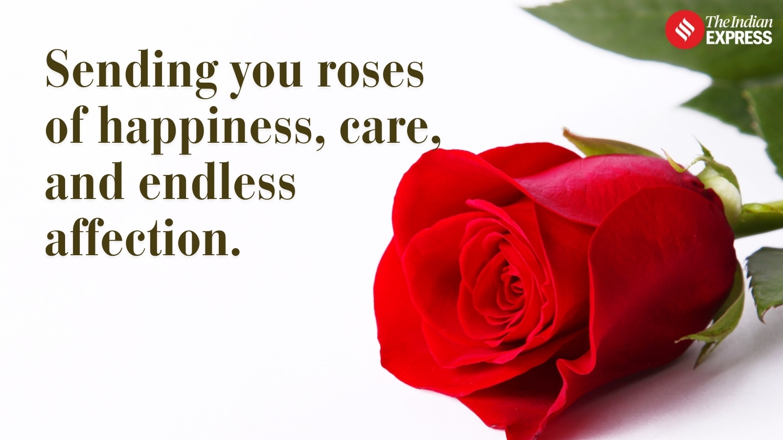 You’re not just my spouse—you’re my home. Happy Rose Day, my heart.
