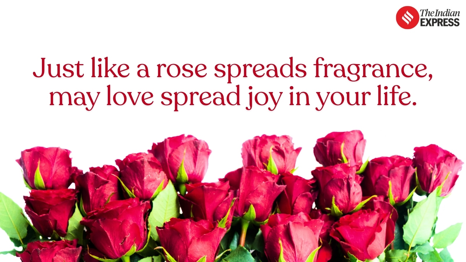 To my husband/wife: You are the rose that makes my life bloom with love and meaning. Happy Rose Day 2026, my forever.
