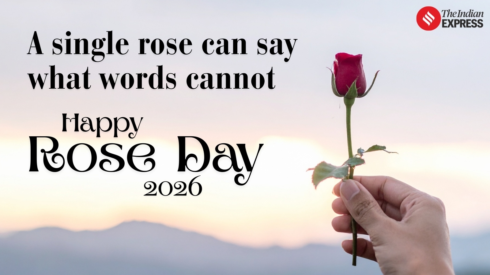 Every rose tells a love story.