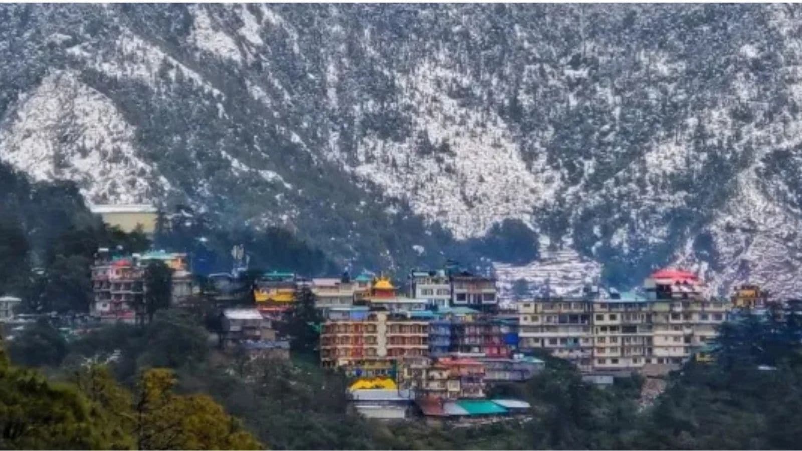 Chinese national arrested for staying without visa at McLeodganj near Dharamshala