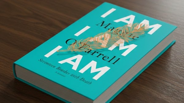 A 3D book cover of Maggie O'Farrell's I Am, I Am, I Am 
