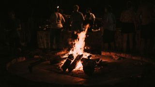 Researchers participating in this study believe that this evolutionary viewpoint may provide the key to answering long-standing questions in the field of burn treatment. (Image for representation: Freepik)