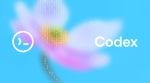 Codex