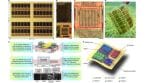 The study explains that the flexible AI chip uses thin-film transistors arranged in a way that allows computation even when the material is under mechanical stress. (Image: Nature)