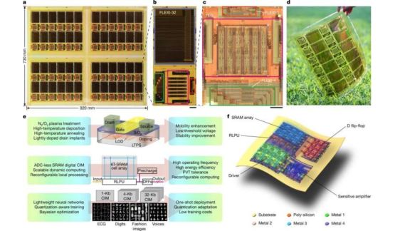 The study explains that the flexible AI chip uses thin-film transistors arranged in a way that allows computation even when the material is under mechanical stress. (Image: Nature)