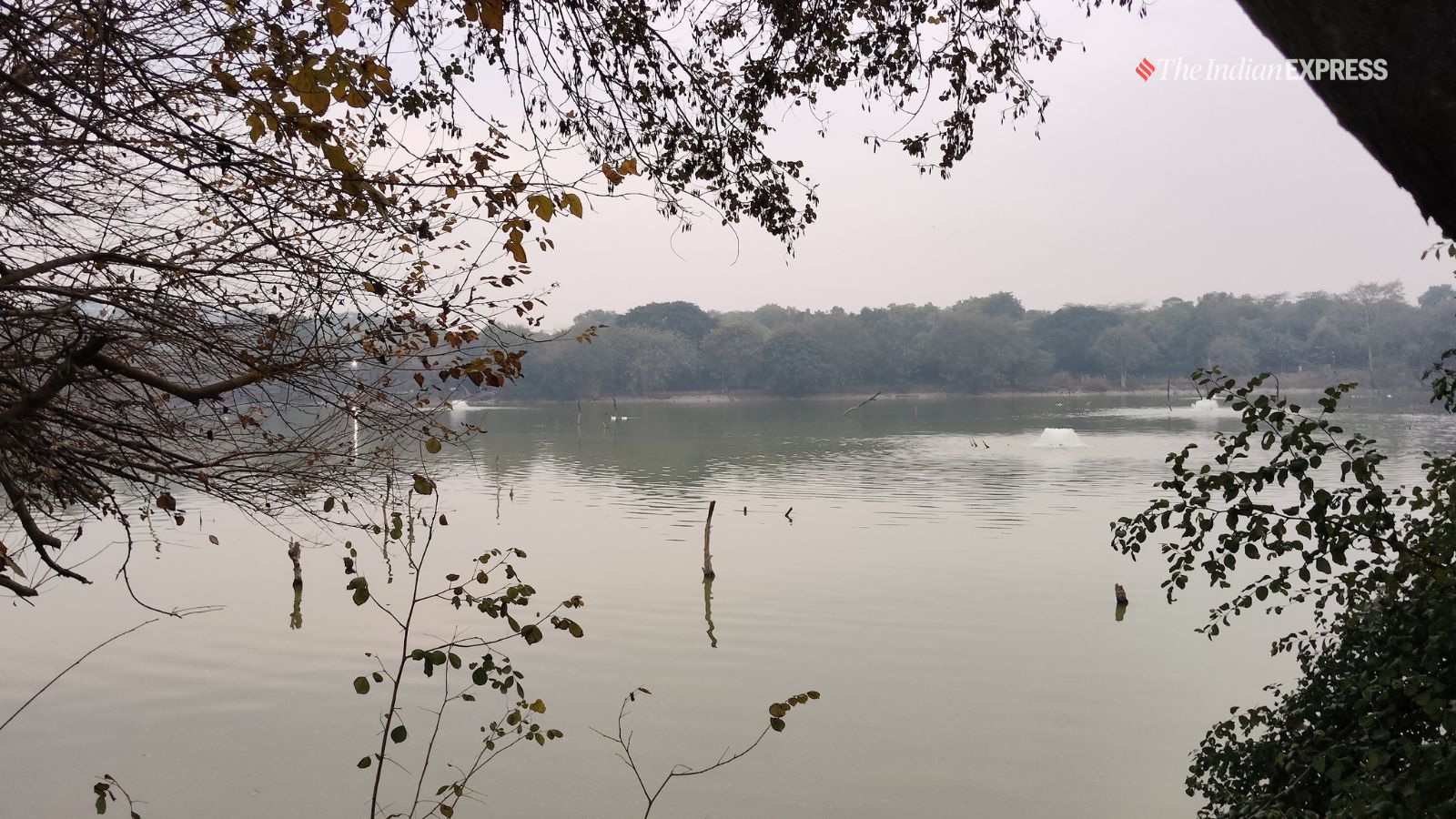 छवि नमूना (छवि: द इंडियन एक्सप्रेस/अजय हांजे)