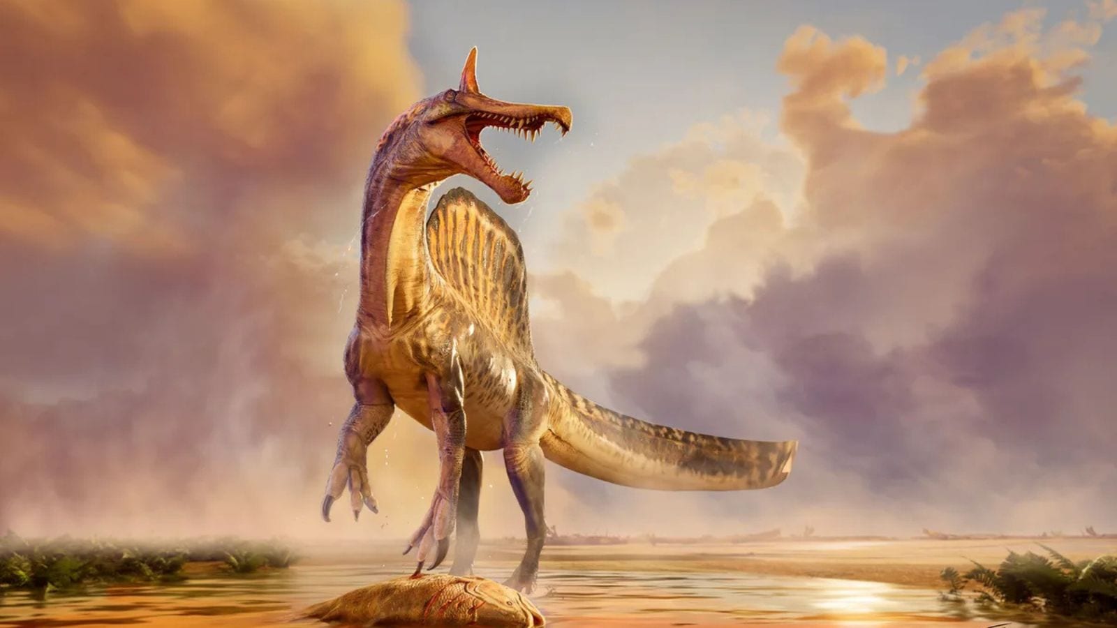 ‘Astonishing’ new dinosaur species discovered in the Sahara