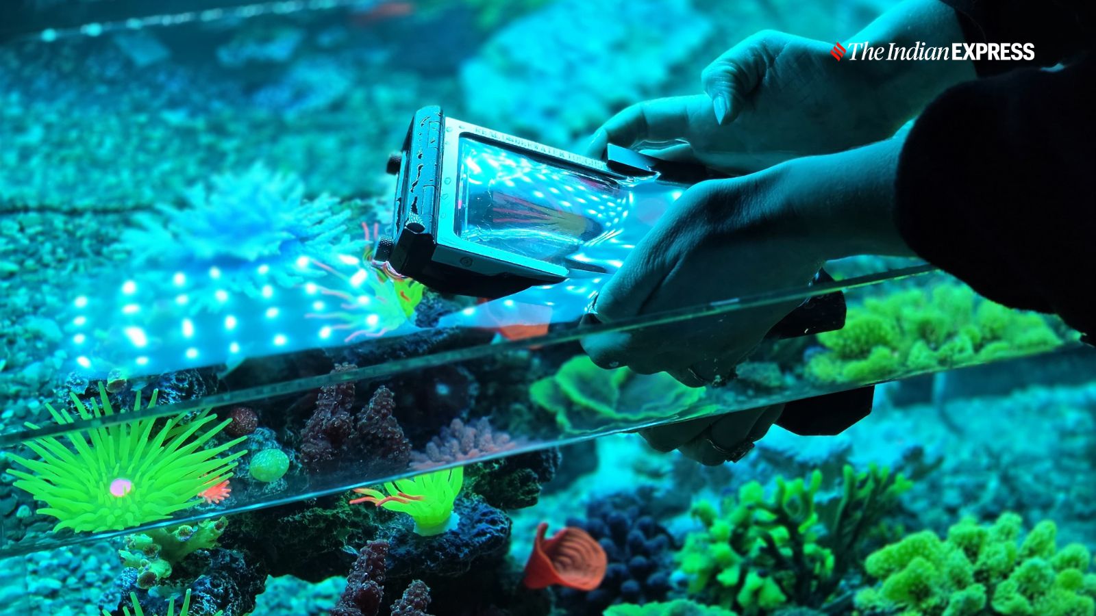 Alongside the high-end Galaxy S26 Ultra, Samsung is also launching the Galaxy S26, the base variant, and a semi-premium variant, the Galaxy S26 Plus.(Image: Anuj Bhatia/The Indian Express)