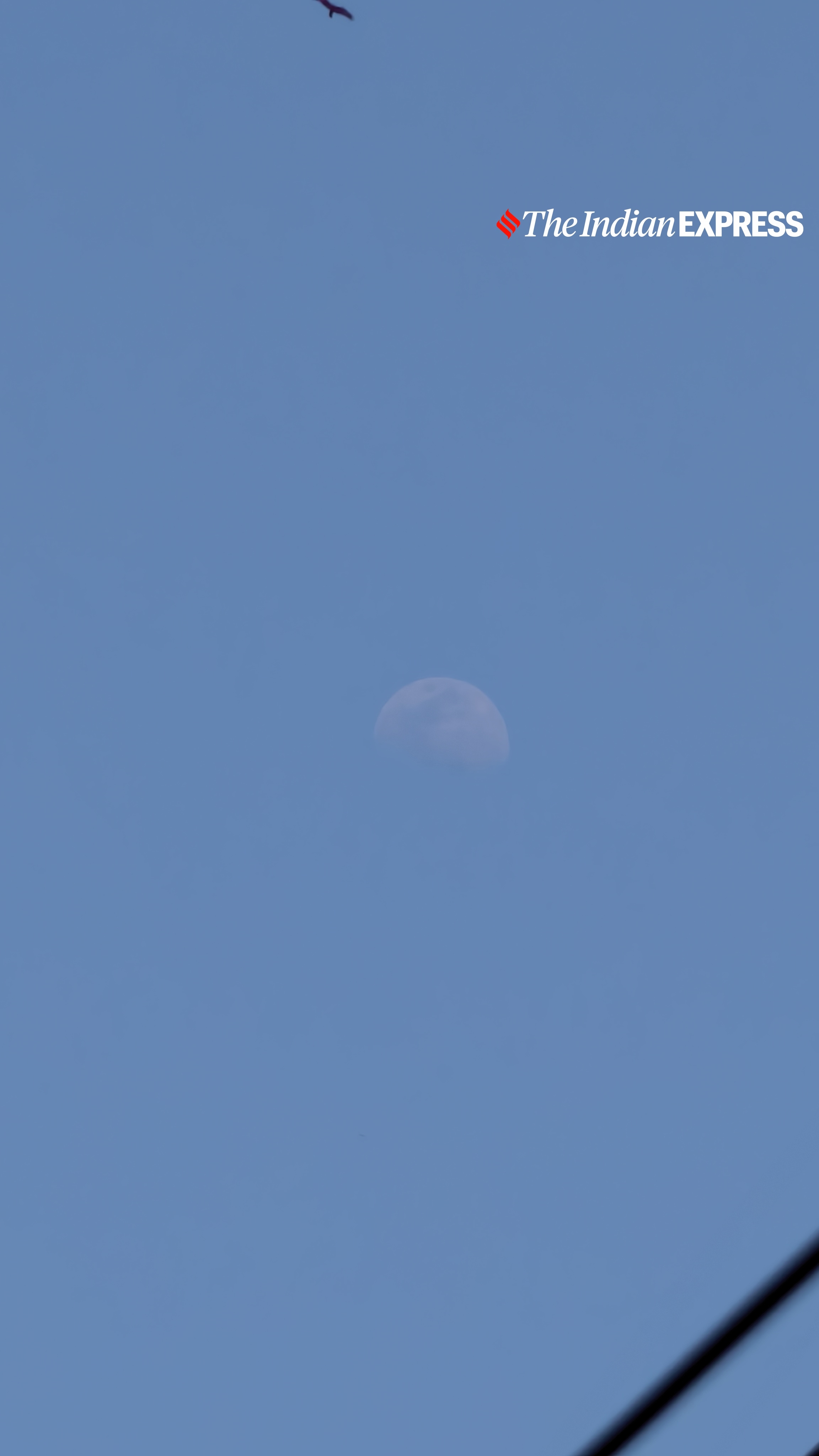 विवो X200T नमूना छवियाँ (छवि: बिजिन जोस/द इंडियन एक्सप्रेस)