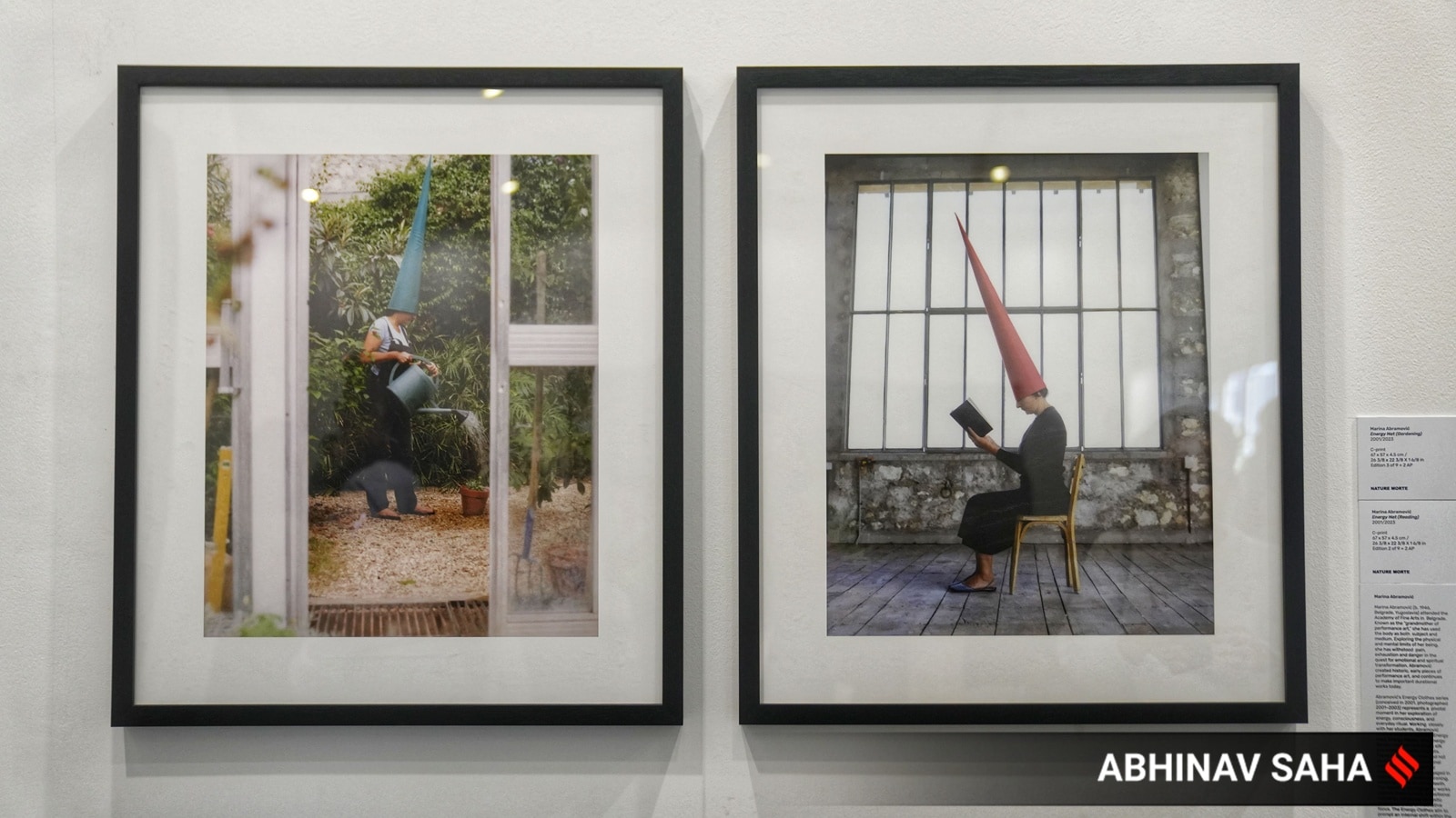 International Artists - Marina Abramović