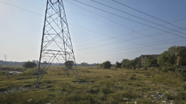A view of the PSPCL land in village Badungar, district Patiala.