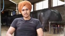Sohalpreet, son of farmer Balbir Singh Sidhu, opts to build a modern dairy venture in rural Punjab, choosing agriculture over migration. (Express)