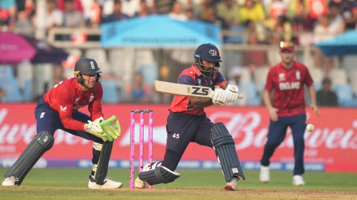 'Not many teams would have taken Adil Rashid the way he did': Harry Brook praises Nepal after huge defeat in T20 World Cup