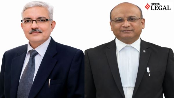 Equine activity in Matheran poses the highest environmental and public health risk during the rainy season, said the NGT. 