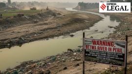 These measures will improve the flow of surface and sub-surface water and enhance the water flow in the river, the NGT said.