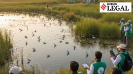 The NGT directed the authorities concerned are directed to protect the water bodies, identify and demarcate and protect the area by means of wire, pillars/munnars.