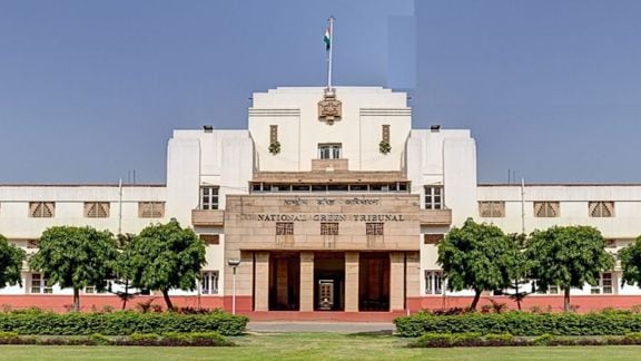 The NGT today is a truncated body — functioning at half of its prescribed minimum strength of 20 with only four judicial and six expert members.