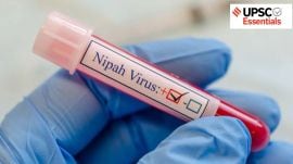 Nipah, virus, India, Bangladesh