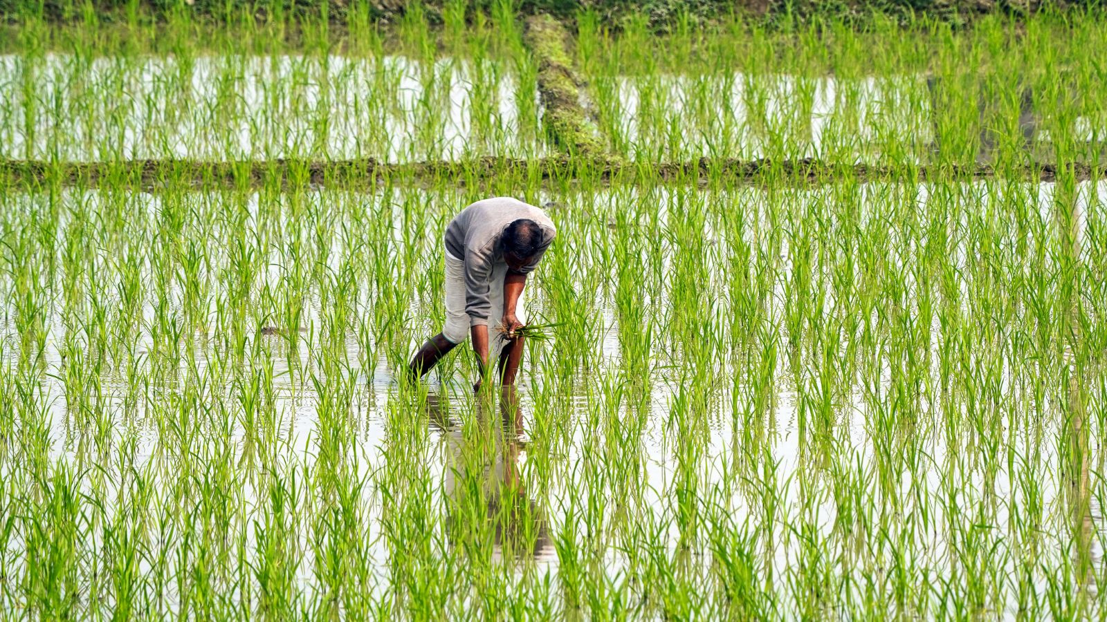 PM Kisan 22nd instalment, PM Kisan installment date, PM Kisan beneficiary list 2026,