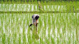 PM Kisan 22nd instalment, PM Kisan installment date, PM Kisan beneficiary list 2026,