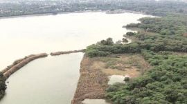 During the drive, civic teams reclaimed public land from multiple parks.