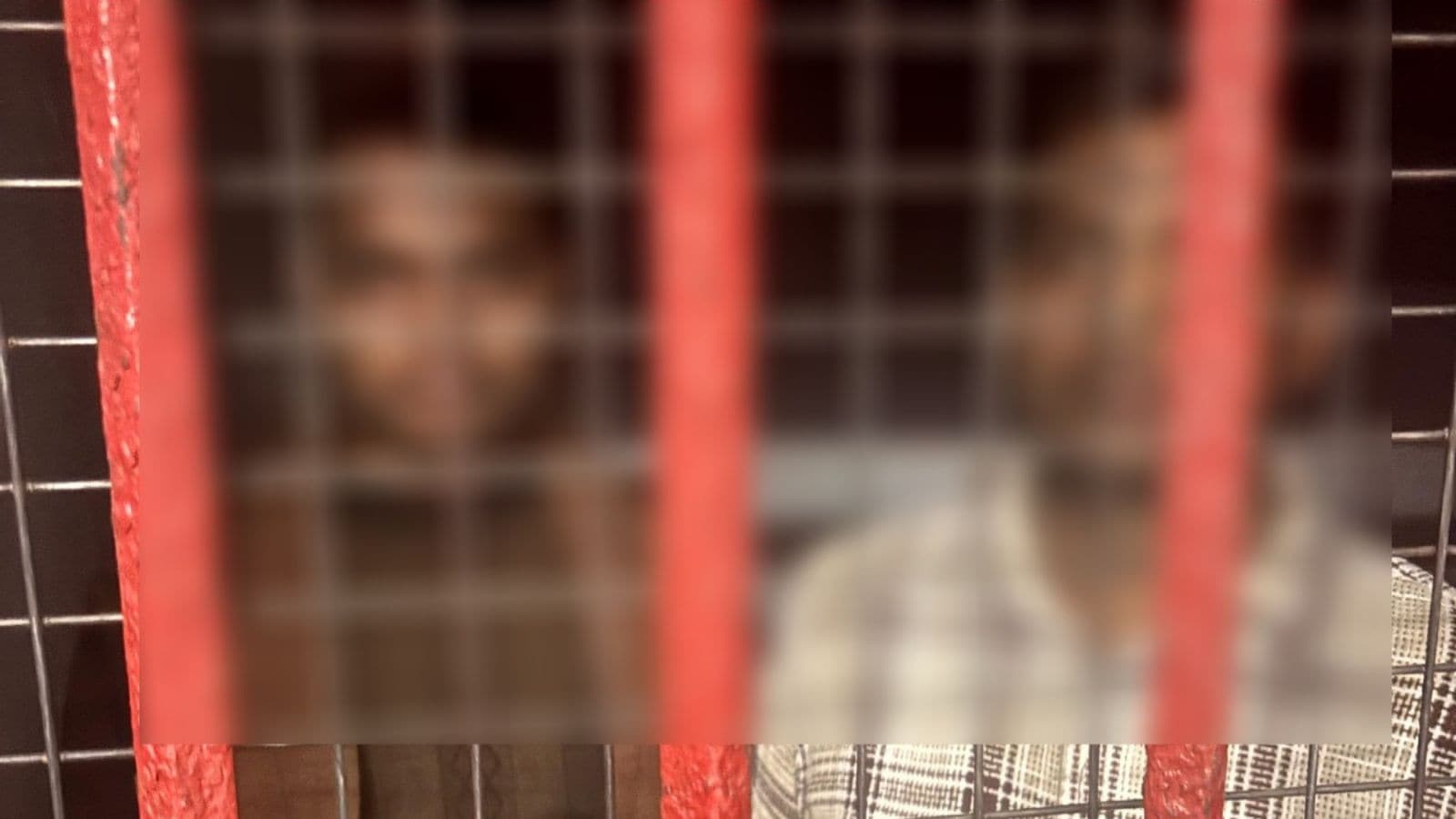 Nagaland doctor posted at AIIMS Gorakhpur allegedly stalked and molested; Meghalaya CM condemns incident