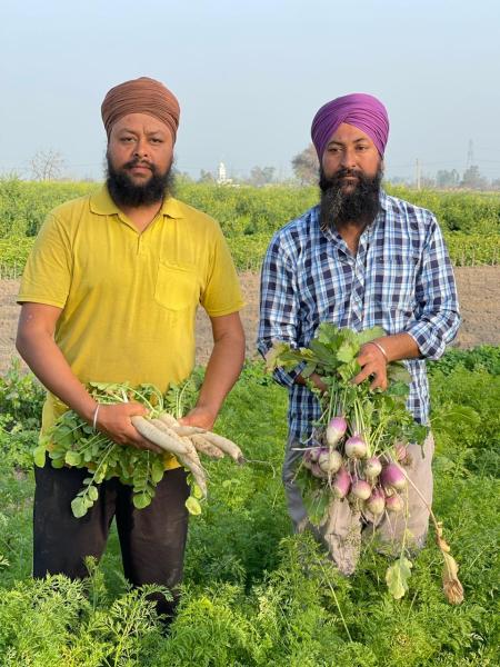 he expanded vegetable cultivation to 2.5 acres, nearly nine times the initial area, scaling up steadily over the last two years. His joint family of 15 owns around 10 acres.