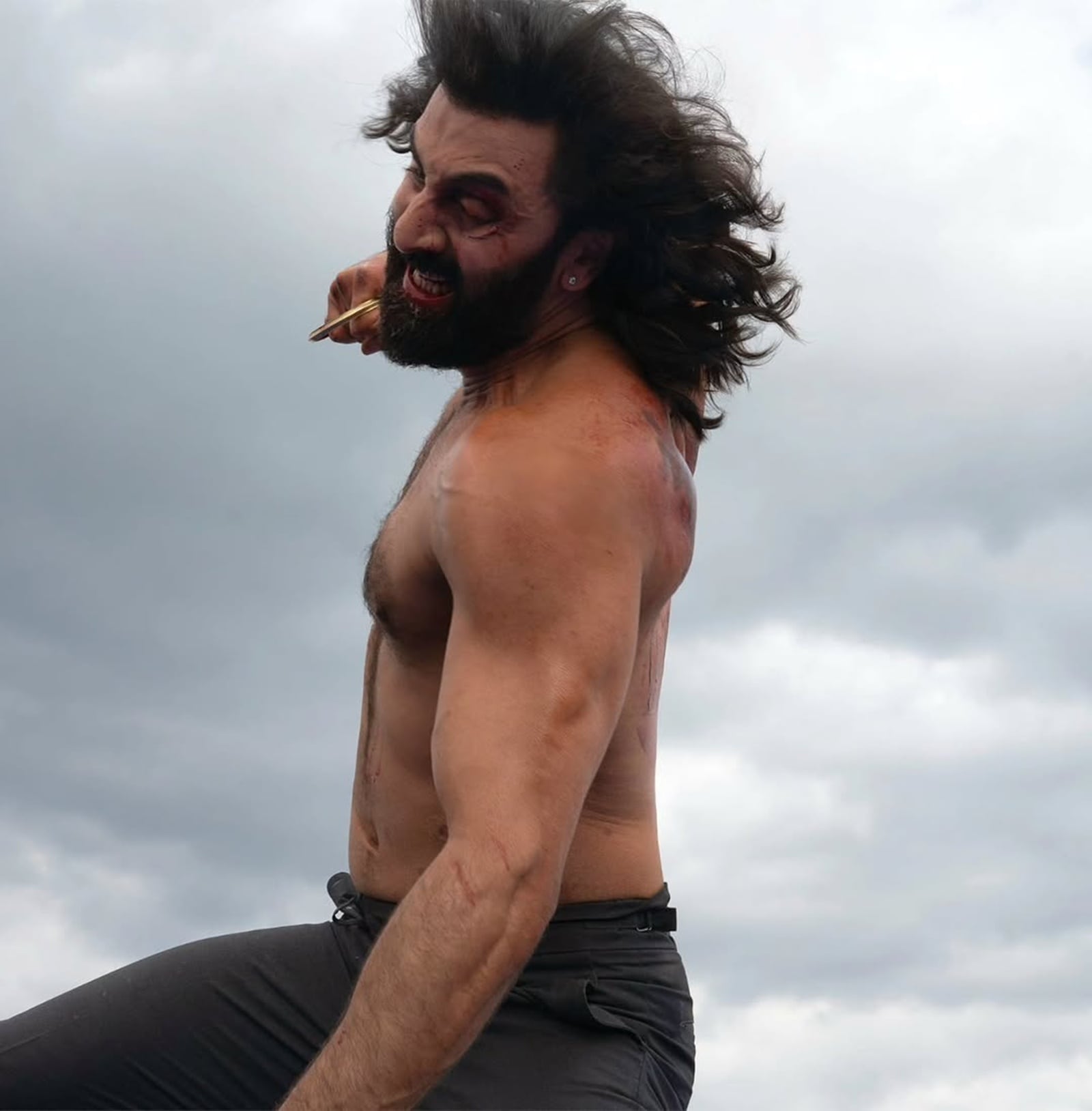 Ranbir Kapoor in a still from the film Animal