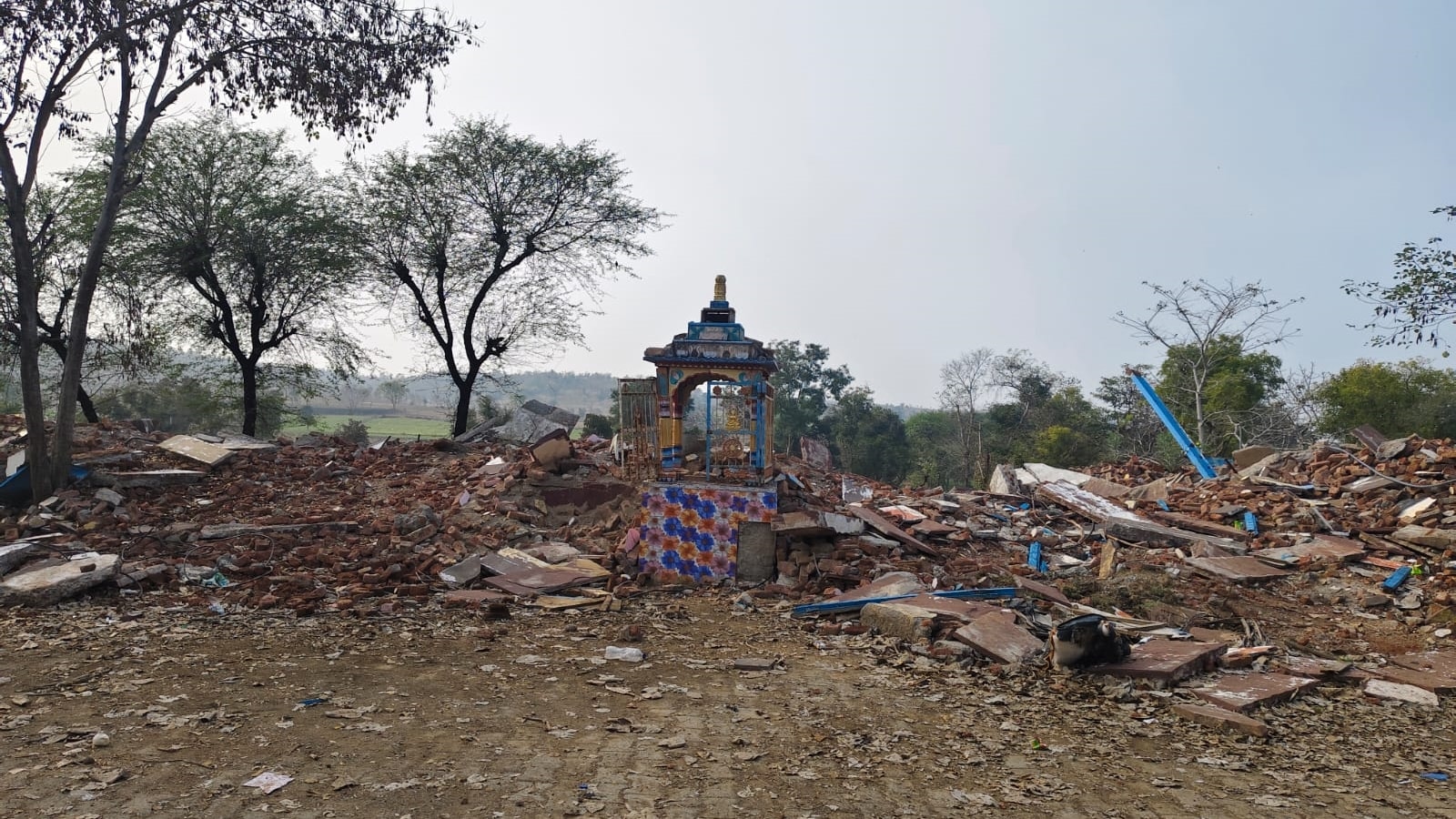 Govt audit shows 56% of rajasthan’s govt schools are dilapidated or need major work