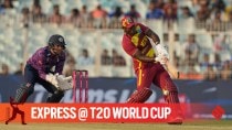Rovman Powell T20 World Cup